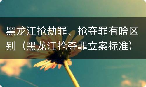 黑龙江抢劫罪、抢夺罪有啥区别（黑龙江抢夺罪立案标准）