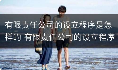 有限责任公司的设立程序是怎样的 有限责任公司的设立程序是怎样的呢