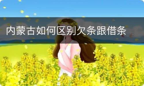 内蒙古如何区别欠条跟借条