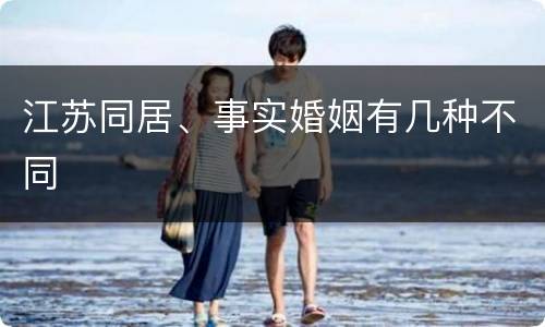 江苏同居、事实婚姻有几种不同
