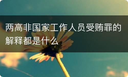 两高非国家工作人员受贿罪的解释都是什么