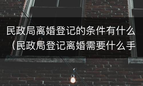 民政局离婚登记的条件有什么（民政局登记离婚需要什么手续）