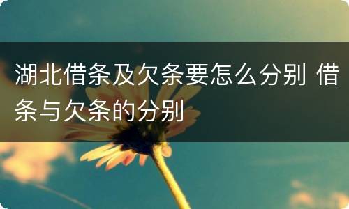 湖北借条及欠条要怎么分别 借条与欠条的分别