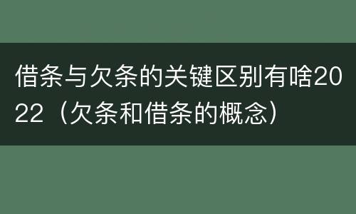 借条与欠条的关键区别有啥2022（欠条和借条的概念）
