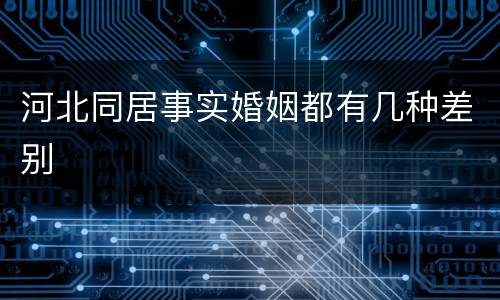 河北同居事实婚姻都有几种差别