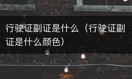 行驶证副证是什么（行驶证副证是什么颜色）