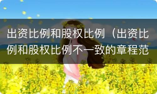 出资比例和股权比例（出资比例和股权比例不一致的章程范例）
