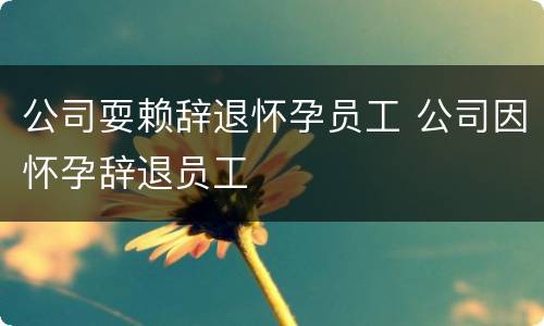 公司耍赖辞退怀孕员工 公司因怀孕辞退员工