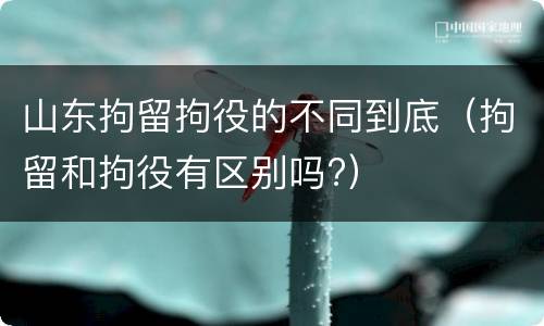 山东拘留拘役的不同到底（拘留和拘役有区别吗?）