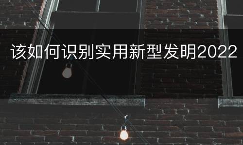 该如何识别实用新型发明2022