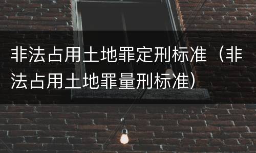 非法占用土地罪定刑标准（非法占用土地罪量刑标准）