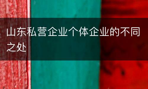山东私营企业个体企业的不同之处