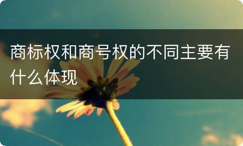 商标权和商号权的不同主要有什么体现