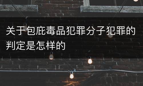 关于包庇毒品犯罪分子犯罪的判定是怎样的