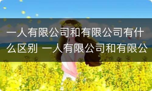 一人有限公司和有限公司有什么区别 一人有限公司和有限公司的区别
