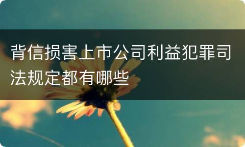 背信损害上市公司利益犯罪司法规定都有哪些