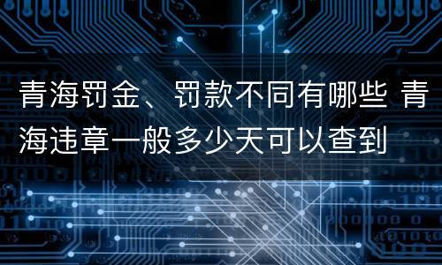 青海罚金、罚款不同有哪些 青海违章一般多少天可以查到