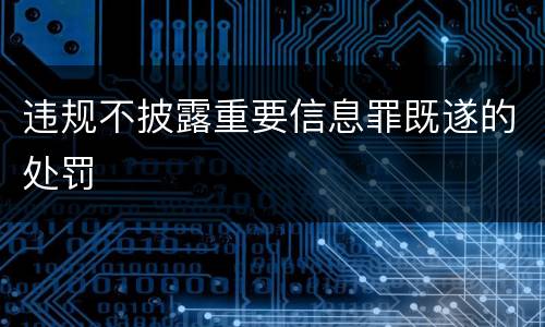 违规不披露重要信息罪既遂的处罚