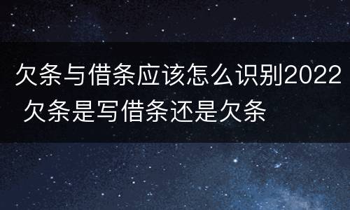 欠条与借条应该怎么识别2022 欠条是写借条还是欠条