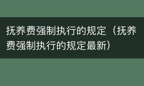 抚养费强制执行的规定（抚养费强制执行的规定最新）