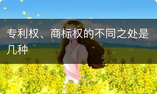 专利权、商标权的不同之处是几种