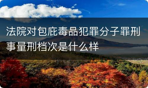 法院对包庇毒品犯罪分子罪刑事量刑档次是什么样