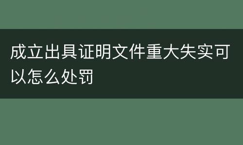 成立出具证明文件重大失实可以怎么处罚