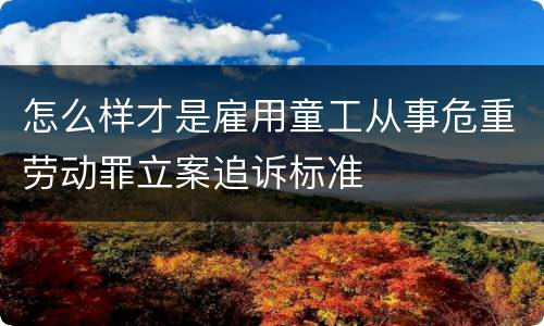 怎么样才是雇用童工从事危重劳动罪立案追诉标准
