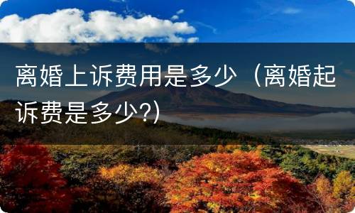 离婚上诉费用是多少（离婚起诉费是多少?）