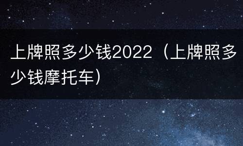 上牌照多少钱2022（上牌照多少钱摩托车）