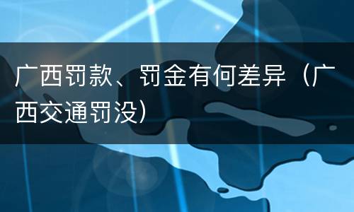 广西罚款、罚金有何差异（广西交通罚没）