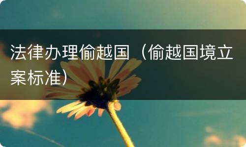 法律办理偷越国（偷越国境立案标准）