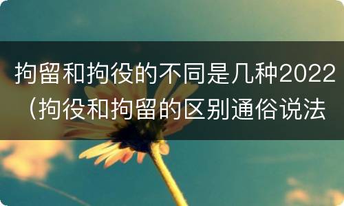 拘留和拘役的不同是几种2022（拘役和拘留的区别通俗说法）