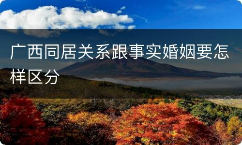 广西同居关系跟事实婚姻要怎样区分