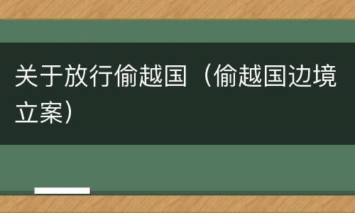 关于放行偷越国（偷越国边境立案）