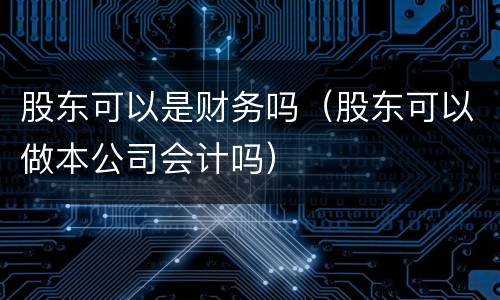 股东可以是财务吗（股东可以做本公司会计吗）