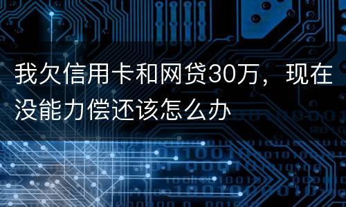 我欠信用卡和网贷30万，现在没能力偿还该怎么办
