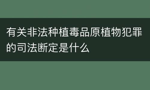 有关非法种植毒品原植物犯罪的司法断定是什么