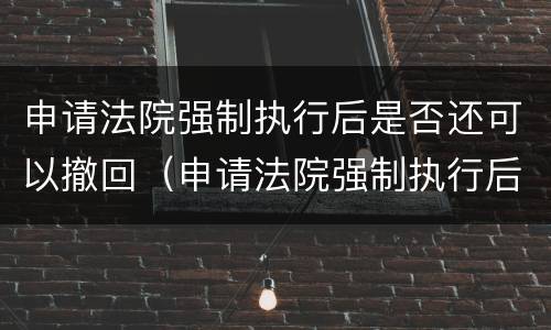申请法院强制执行后是否还可以撤回（申请法院强制执行后是否还可以撤回执行）