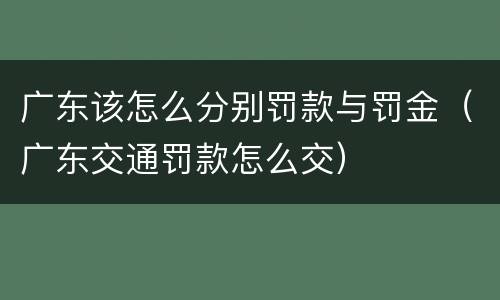 广东该怎么分别罚款与罚金（广东交通罚款怎么交）