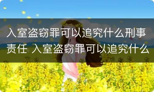 入室盗窃罪可以追究什么刑事责任 入室盗窃罪可以追究什么刑事责任案件
