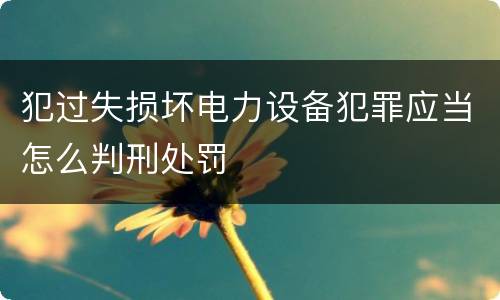 犯过失损坏电力设备犯罪应当怎么判刑处罚