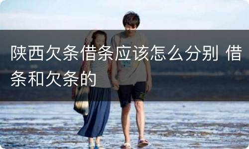 陕西欠条借条应该怎么分别 借条和欠条的