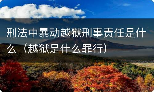 刑法中暴动越狱刑事责任是什么（越狱是什么罪行）