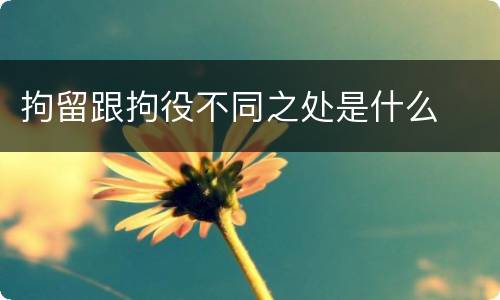 拘留跟拘役不同之处是什么