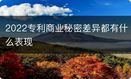 2022专利商业秘密差异都有什么表现