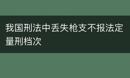 我国刑法中丢失枪支不报法定量刑档次