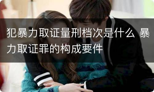 犯暴力取证量刑档次是什么 暴力取证罪的构成要件