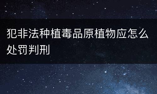 犯非法种植毒品原植物应怎么处罚判刑