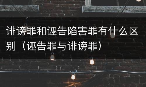 诽谤罪和诬告陷害罪有什么区别（诬告罪与诽谤罪）